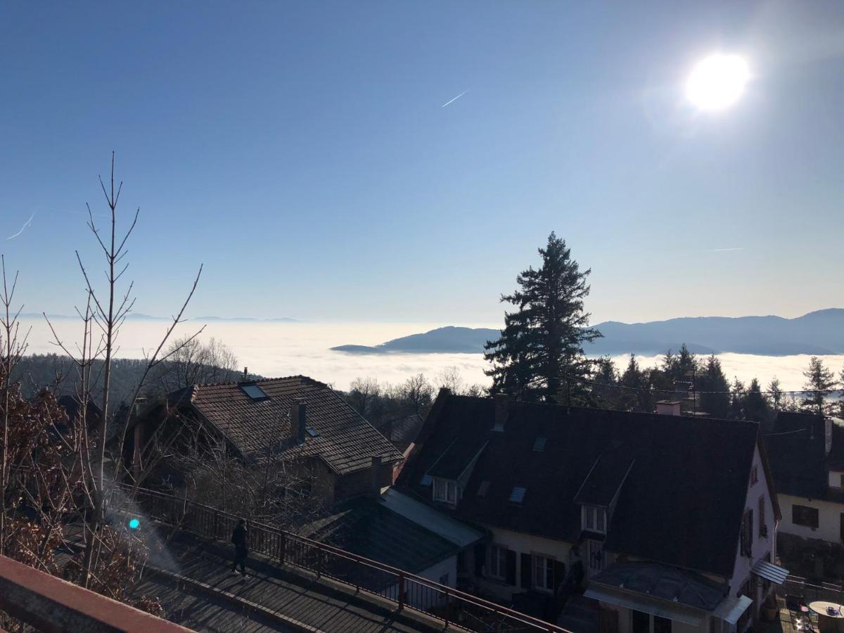 Ferienwohnung Trois-Epis, Vue Magnifique Ammerschwihr Exterior foto
