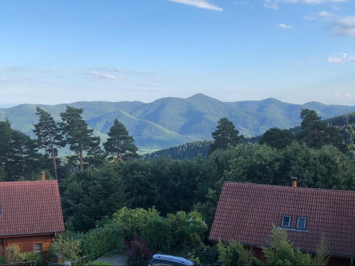 Ferienwohnung Trois-Epis, Vue Magnifique Ammerschwihr Exterior foto