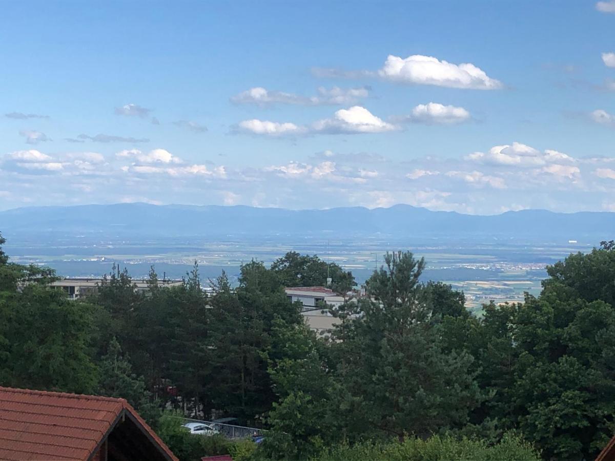 Ferienwohnung Trois-Epis, Vue Magnifique Ammerschwihr Exterior foto